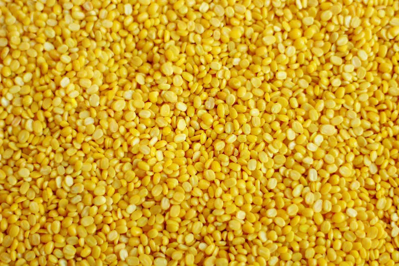 Moong Dal In Ayurveda Benefits, Nutrition & Uses